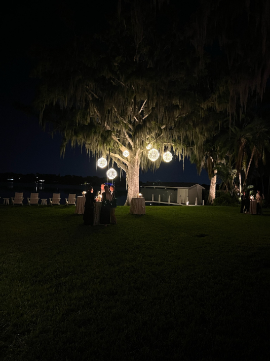 Nightscape Illumination