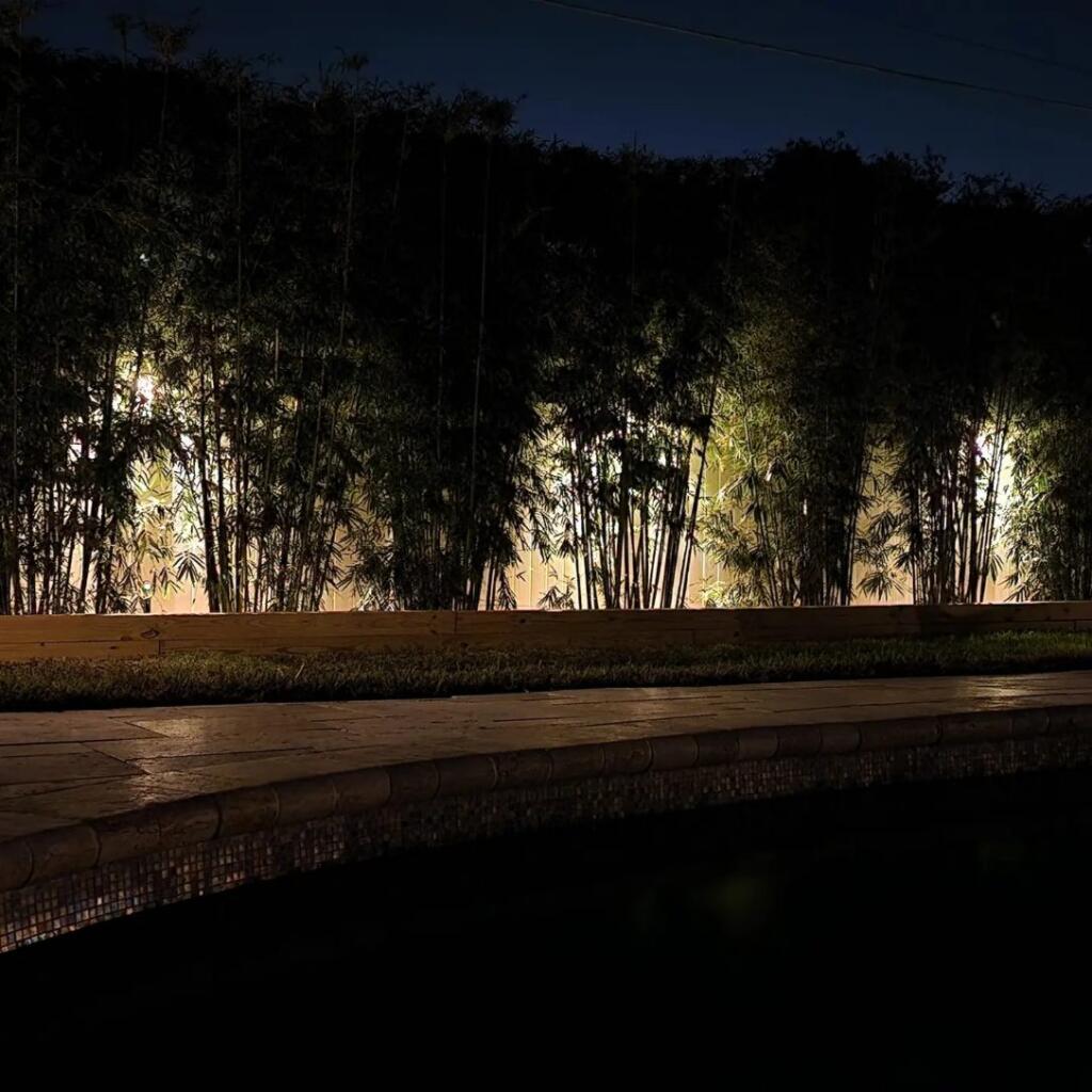 Nightscape Illumination