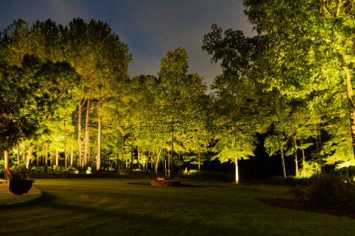 Nightscape Illumination