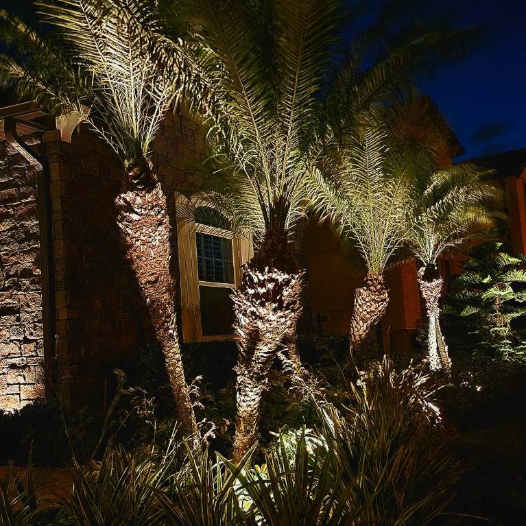 Nightscape Illumination