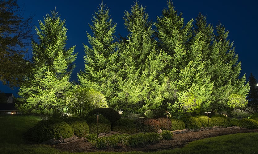 Nightscape Illumination