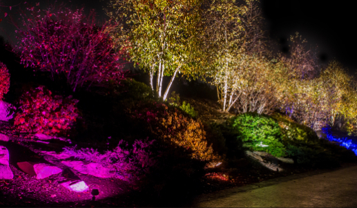 Nightscape Illumination