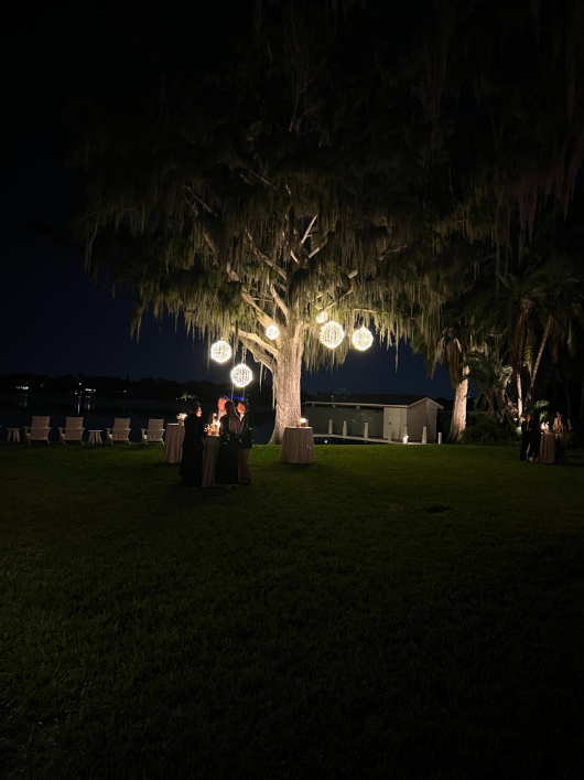 Nightscape Illumination