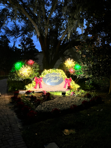 Nightscape Illumination