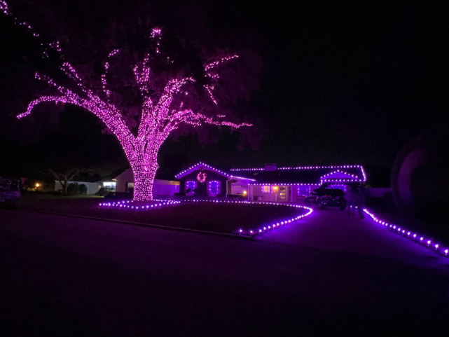 Nightscape Illumination