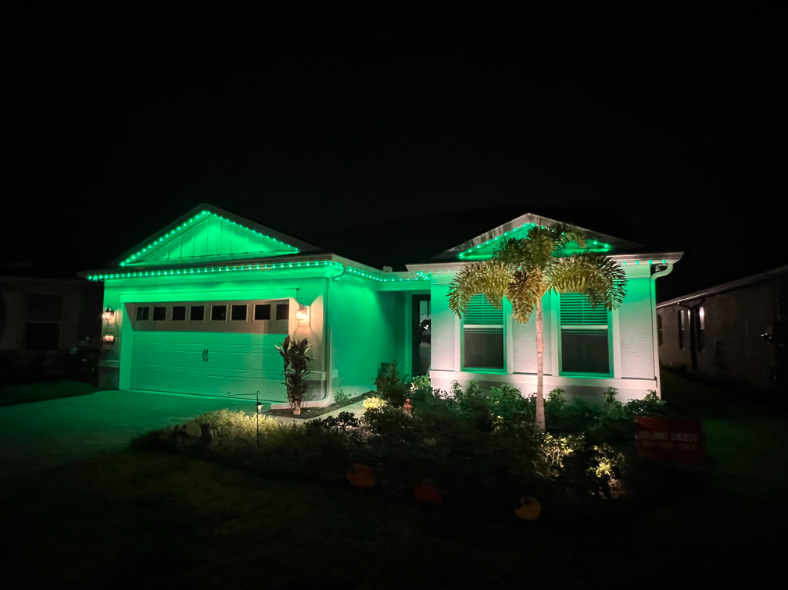 Nightscape Illumination