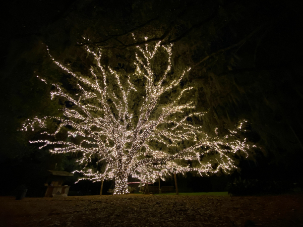 Nightscape Illumination