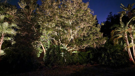 Nightscape Illumination