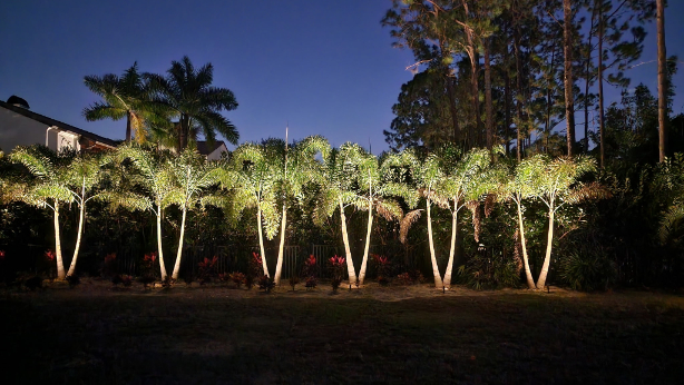 Nightscape Illumination