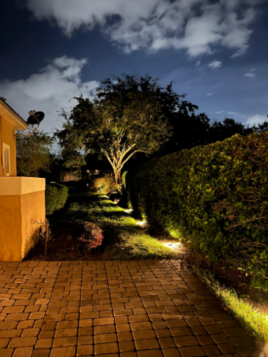 Nightscape Illumination