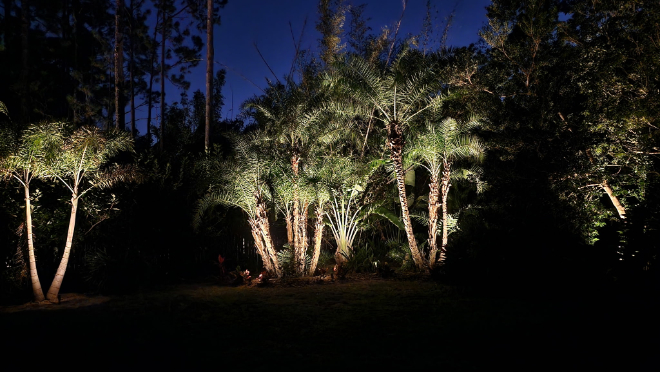 Nightscape Illumination