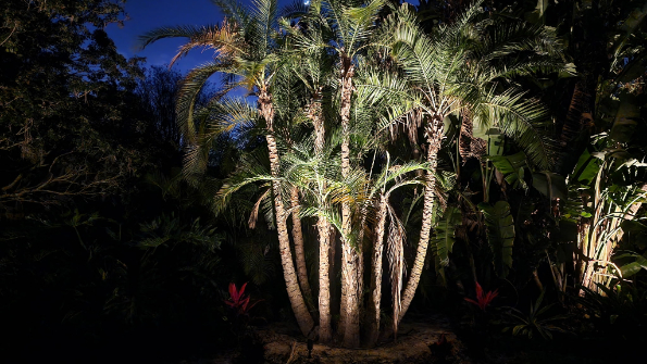 Nightscape Illumination