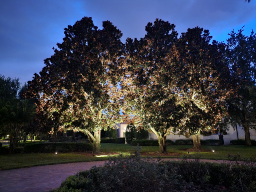 Nightscape Illumination